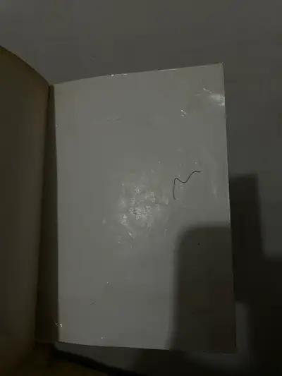 Maria Luisa Bombal ‘La ultima Niebla’ - miniatura 5