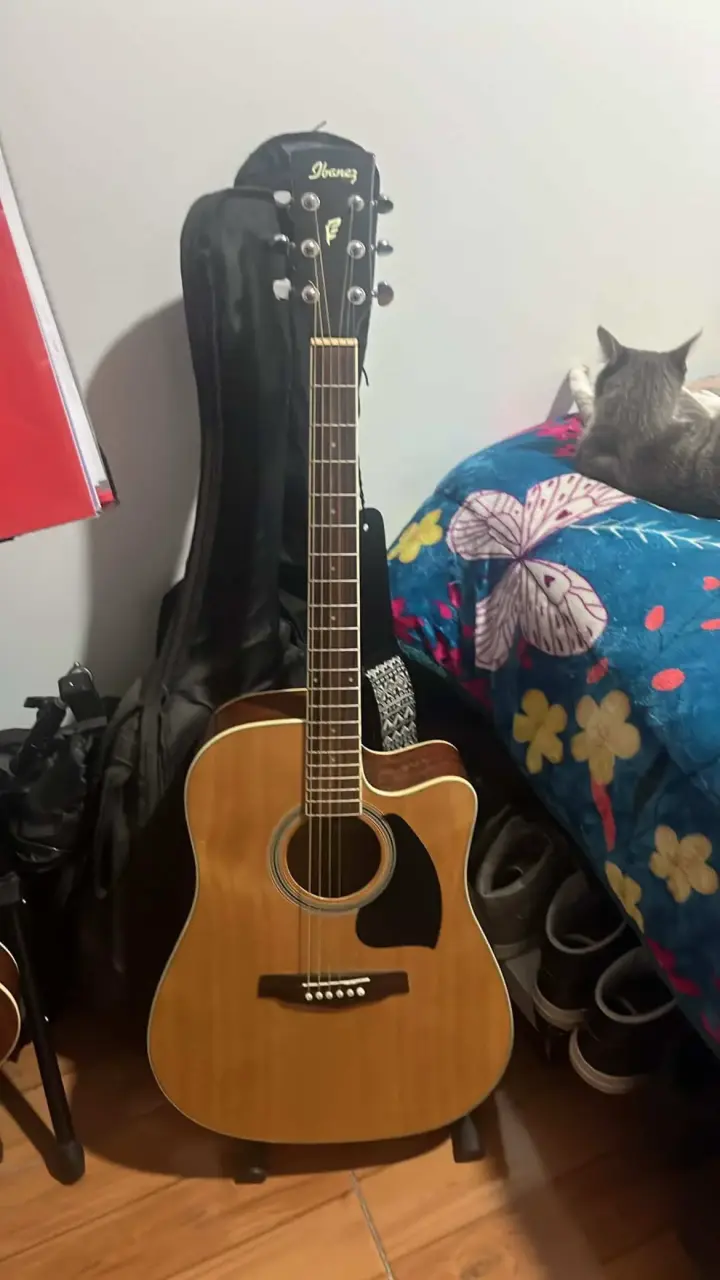 Guitarra acústica Ibanez PF15ECE NT - 1