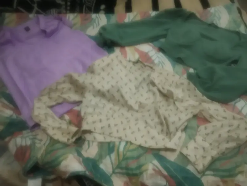 Lote de blusas y camisetas variadas