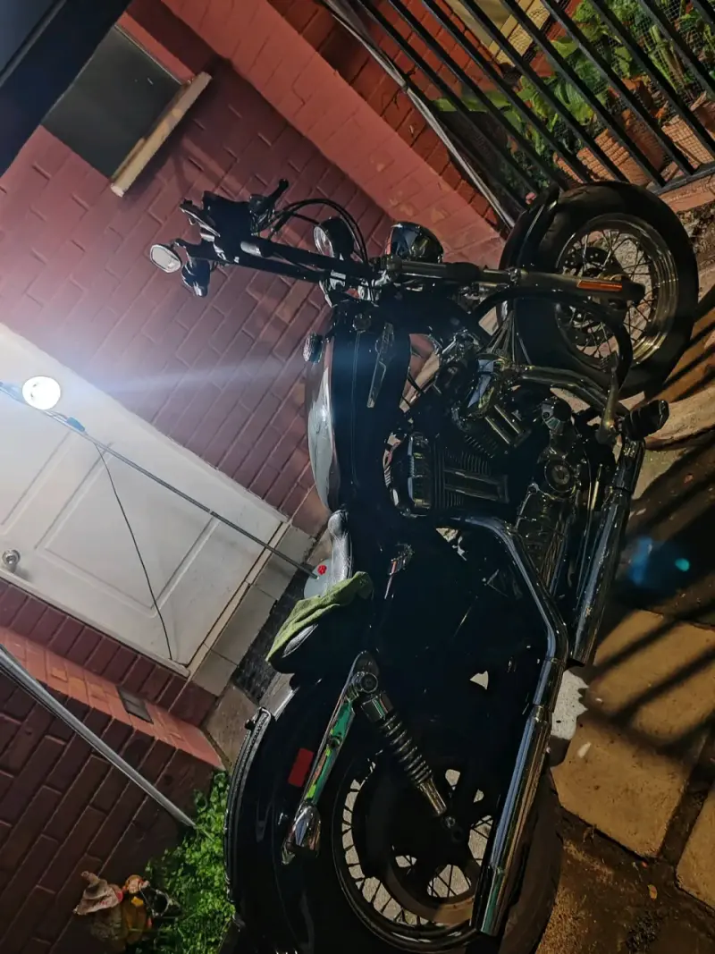 Harley-Davidson sporster 1200 - 3