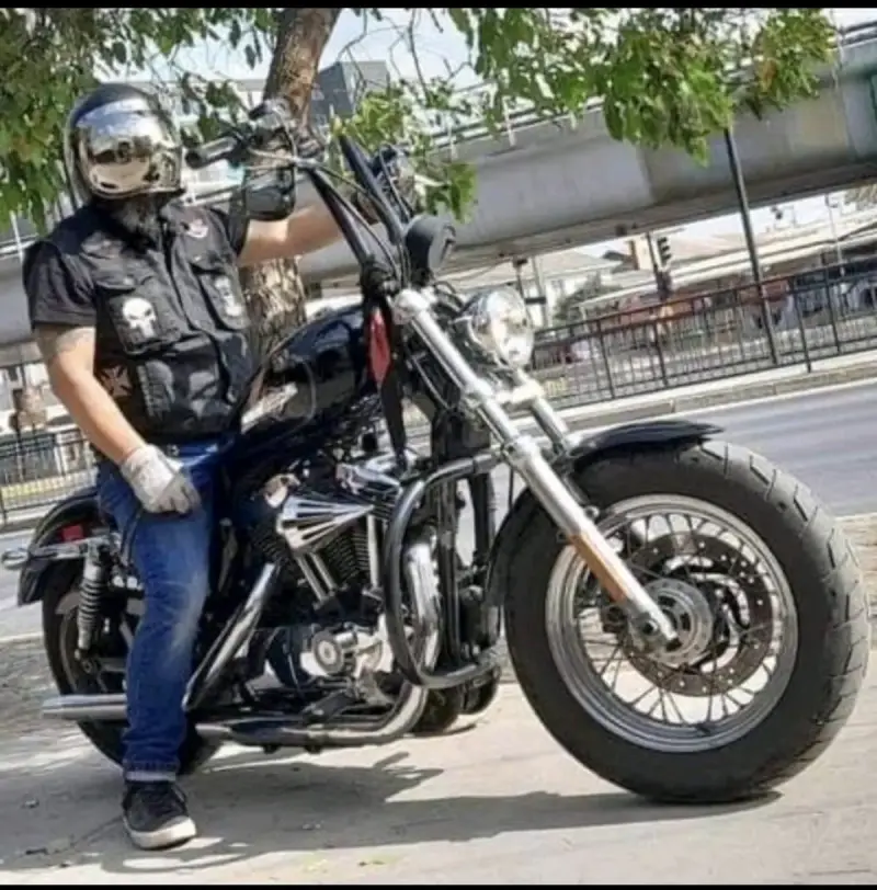 Harley-Davidson sporster 1200 - 6