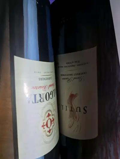 Revista La Cav - Los Mejores Vinos del Año - miniatura 5