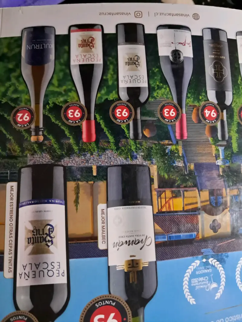 Revista La CAV Club de Amantes del Vino - 3