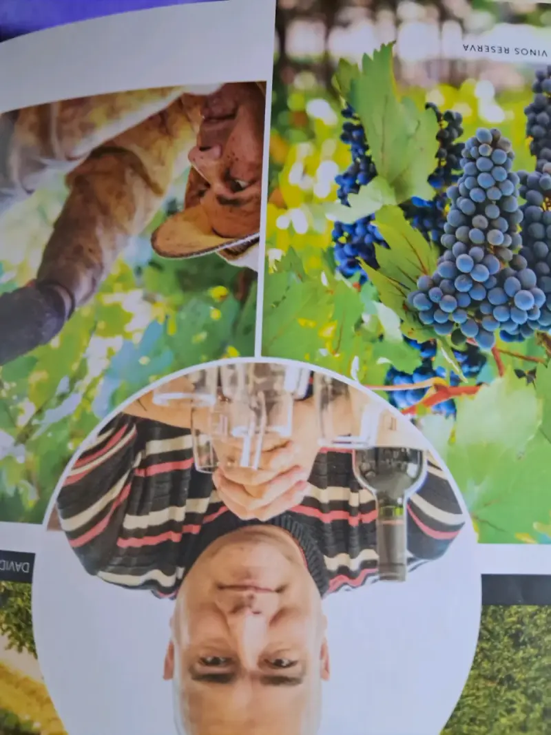 Revista La CAV Club de Amantes del Vino - 4