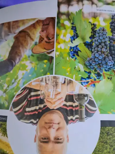 Revista La CAV Club de Amantes del Vino - miniatura 4