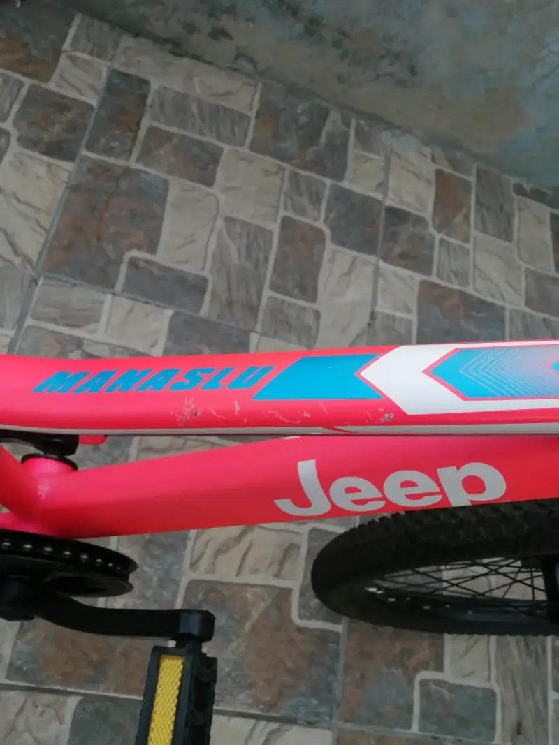 Bicicleta infantil Jeep rosa con suspensión - 4