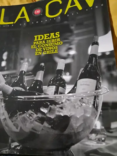 Revista La Cav edición especial sobre vinos - miniatura 1