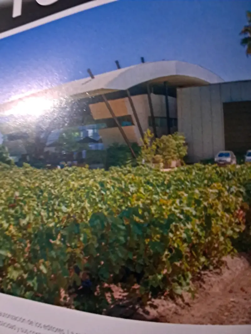 Revista La Cav edición especial sobre vinos - 2