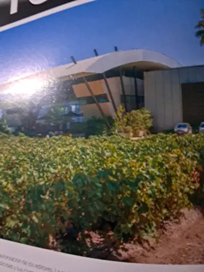 Revista La Cav edición especial sobre vinos - miniatura 2