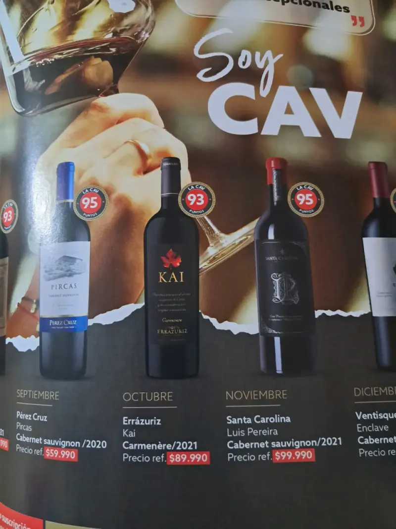 Revista La Cav edición especial sobre vinos - 4