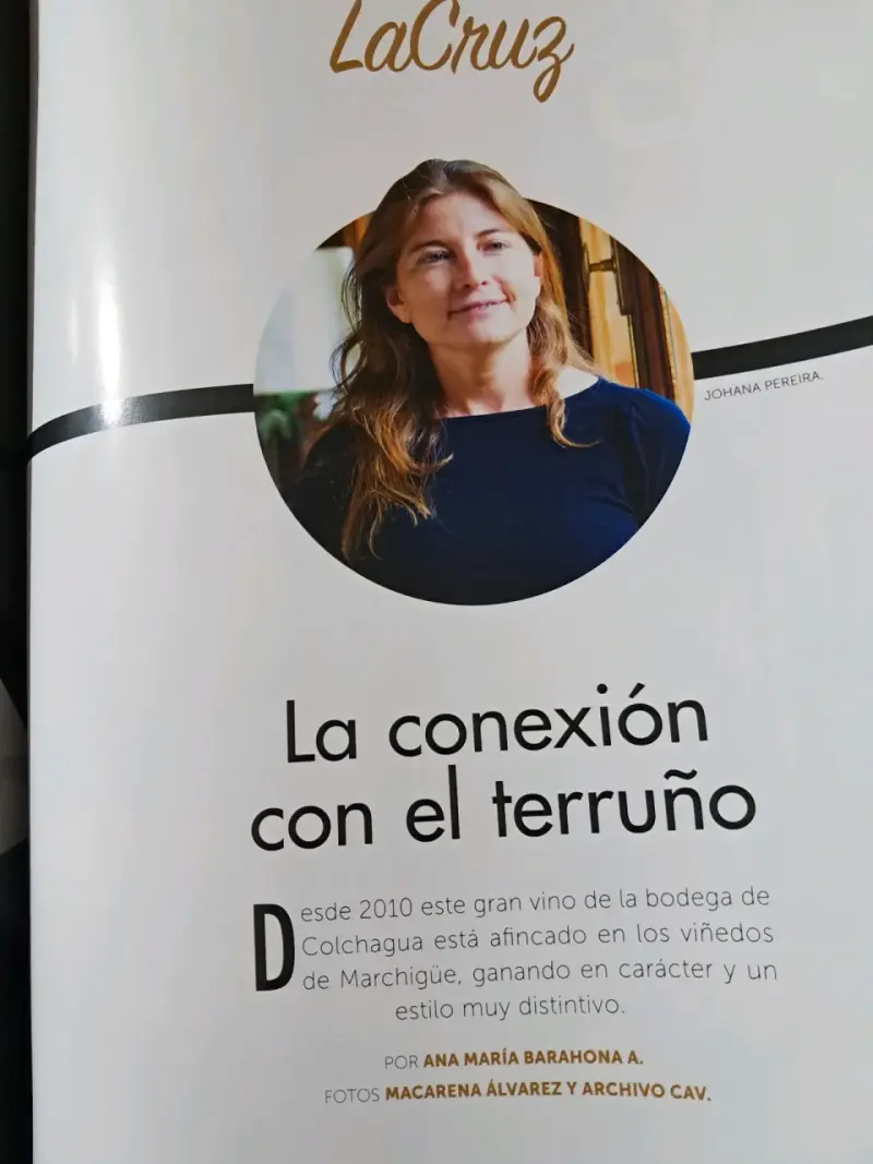 Revista La Cav edición especial sobre vinos - 5