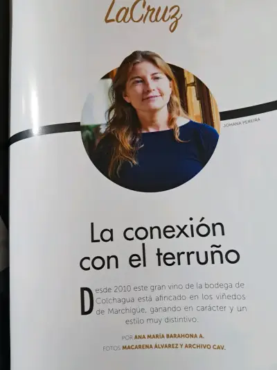Revista La Cav edición especial sobre vinos - miniatura 5