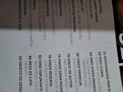 Revista La Cav edición especial sobre vinos - miniatura 6