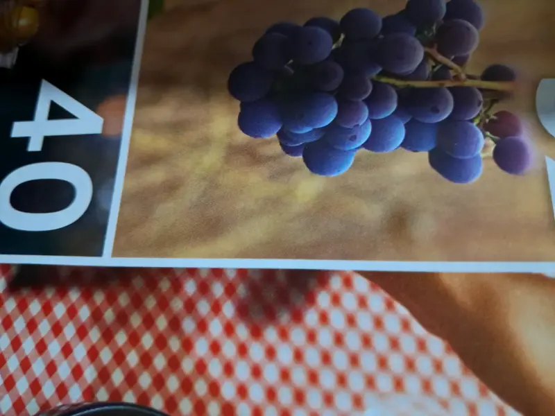 Libro 'Las Mejores Cartas de Vinos 2025' - 4