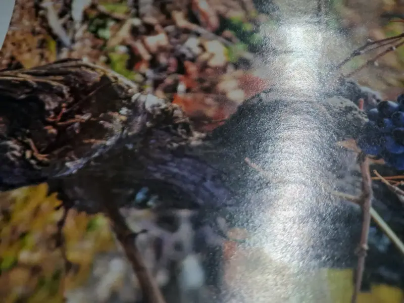 Revista de vinos VIGNO edición especial - 2