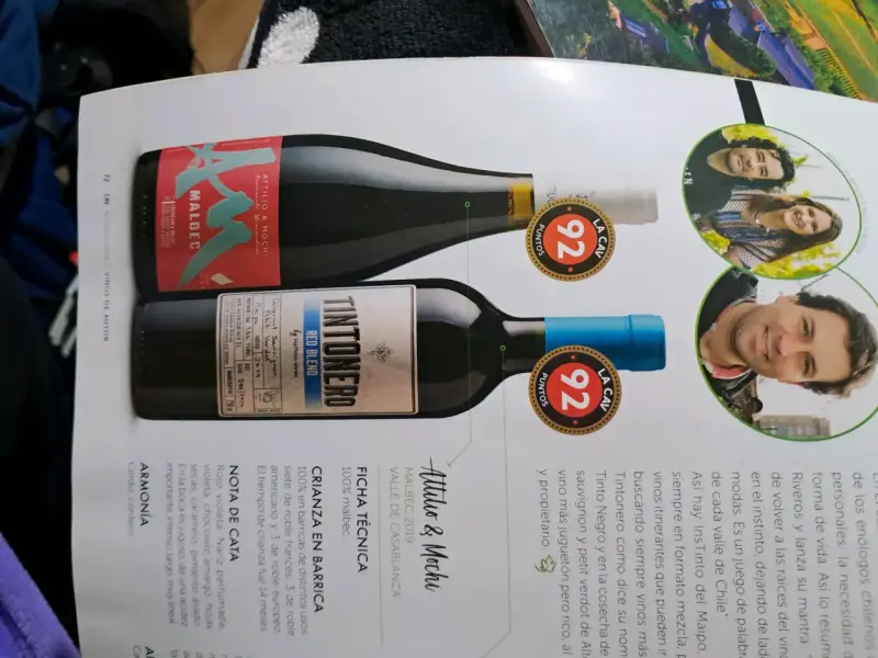 Revista de vinos VIGNO edición especial - 4