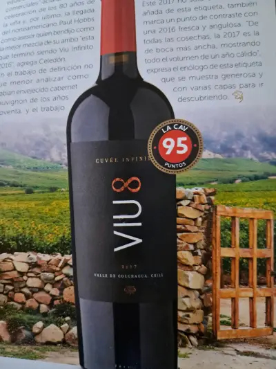 Revista de vinos VIGNO edición especial - miniatura 6