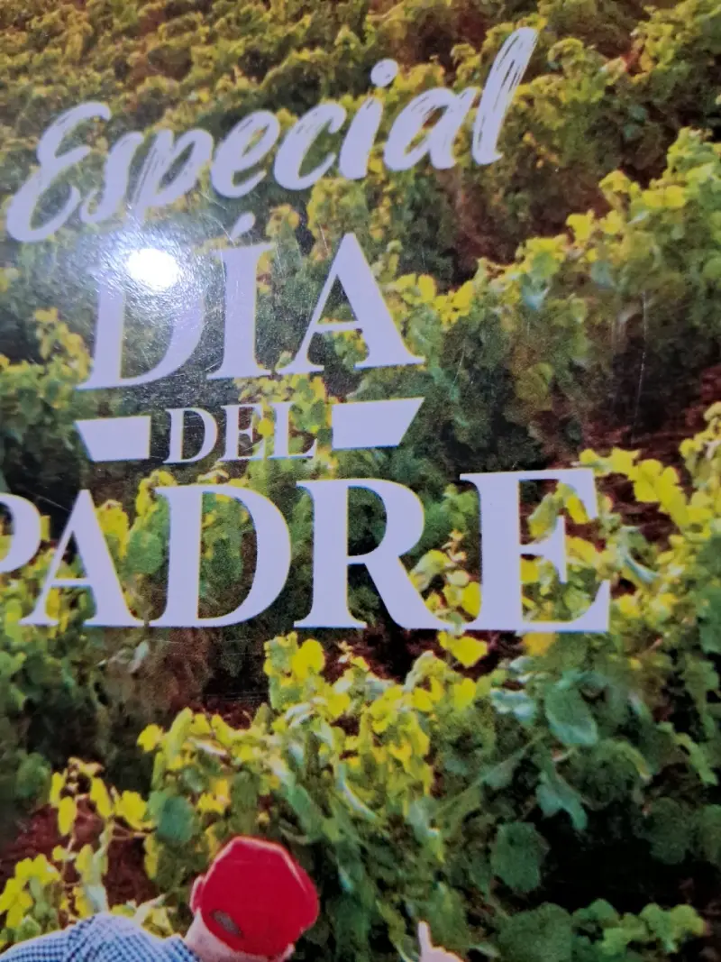 Revista La CAV Especial Día del Padre - 6
