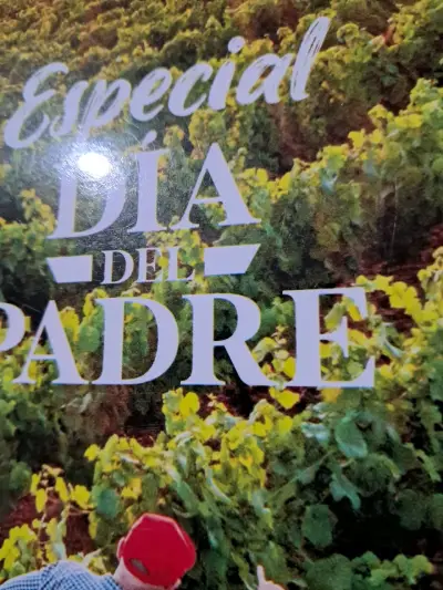 Revista La CAV Especial Día del Padre - miniatura 6