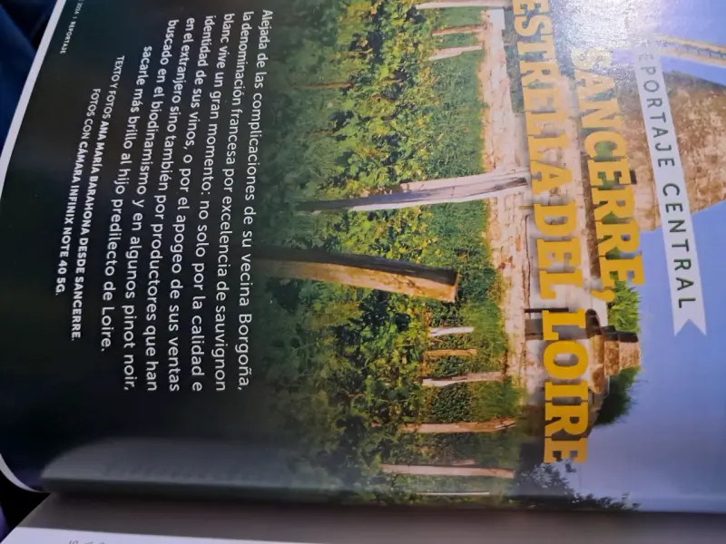 Revista La CAV Sancerre Estrella del Loira - 6