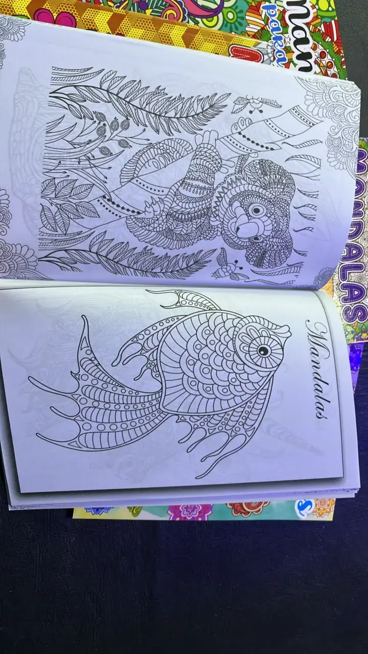 Set de 5  libros para colorear mandalas - 4