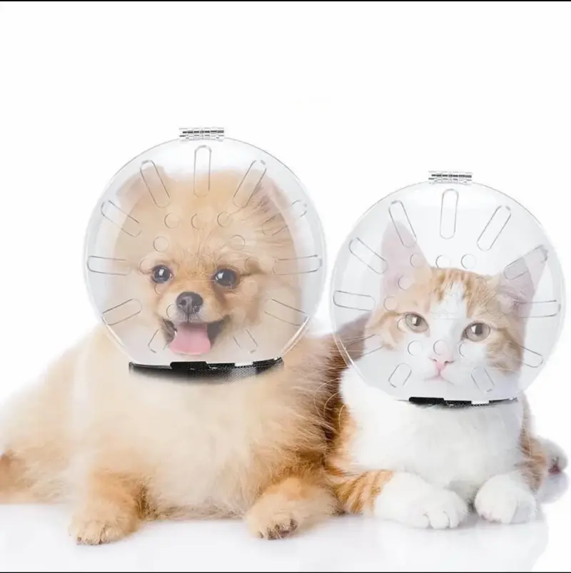 Collar protector para mascotas transparente - 1