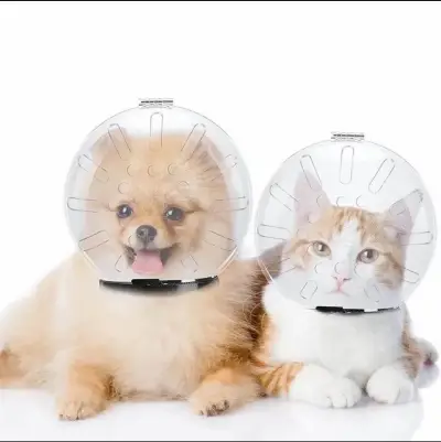 Collar protector para mascotas transparente - miniatura 1