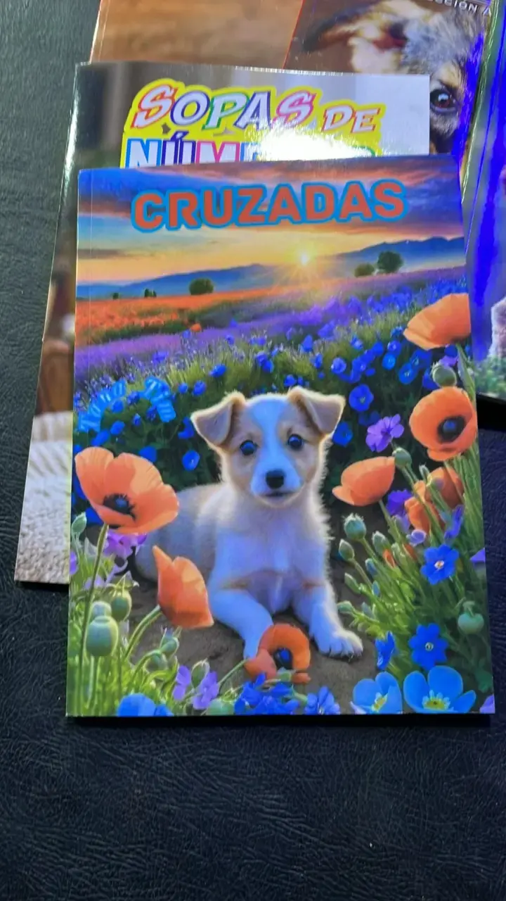 Colección de revistas de pasatiempos variados - 5