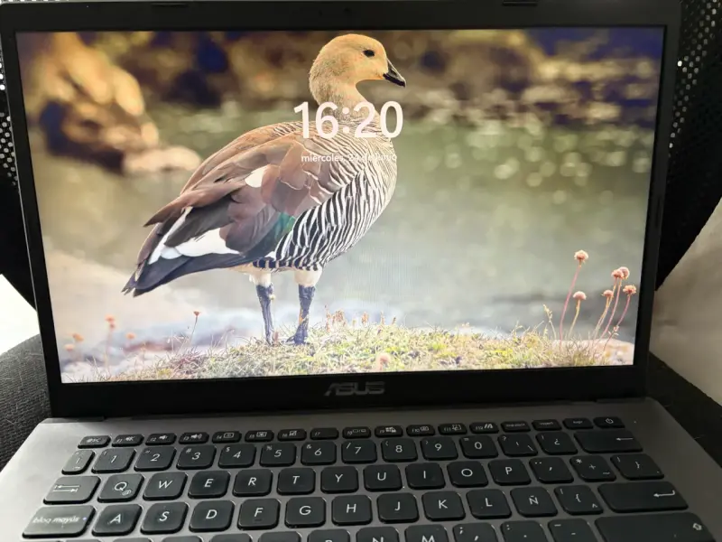 Laptop ASUS con cargador, pantalla 15 pulgadas - 3