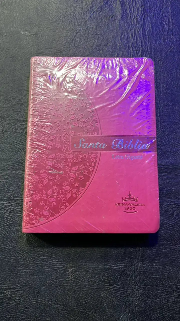 Santa Biblia Reina-Valera 1960 Letra Gigante