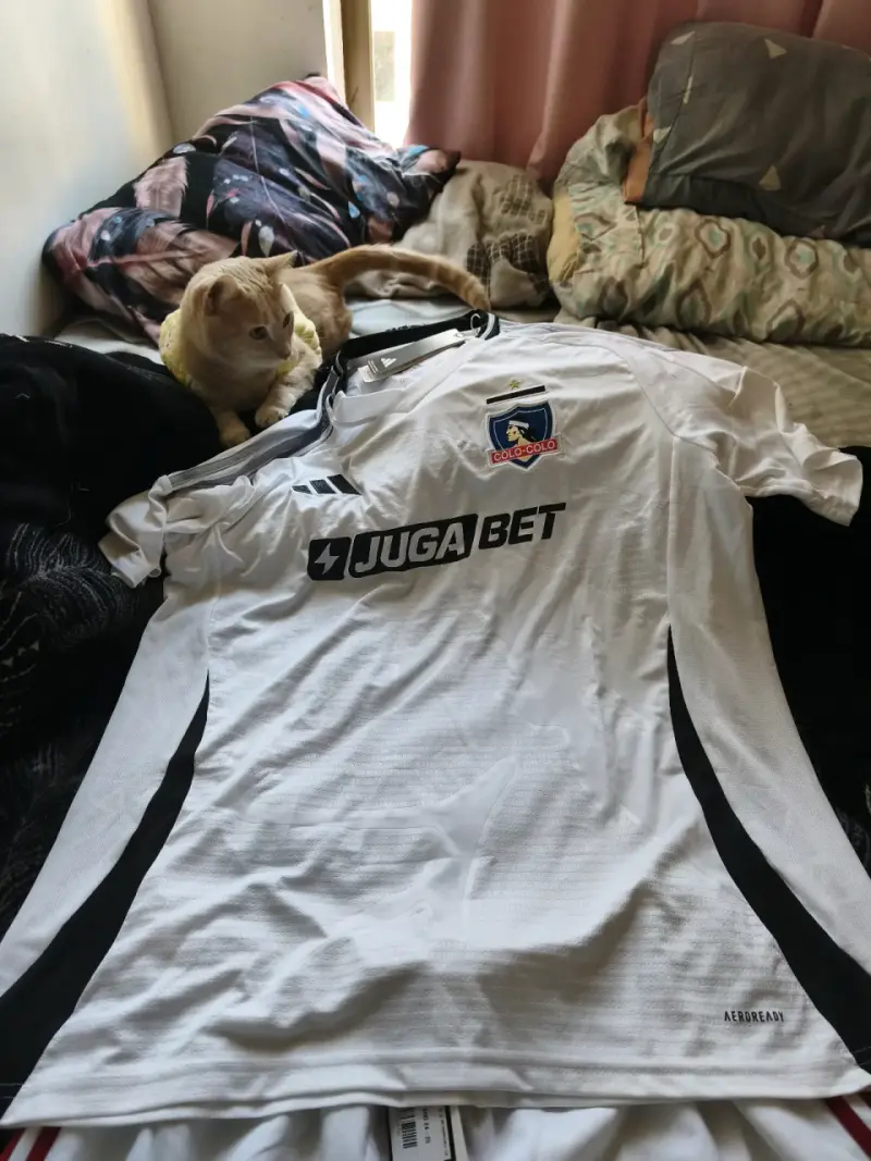 Camiseta Adidas Colo-Colo 2023 blanca - 4