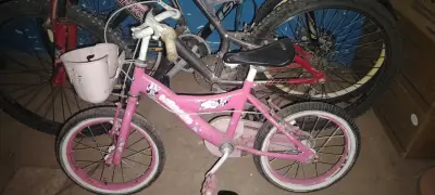 Bicicleta de minnie mouse para reparar - miniatura 2