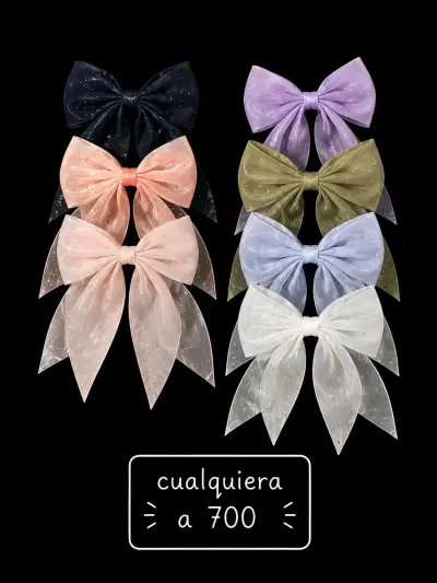 Set de lazos de colores variados - miniatura 1