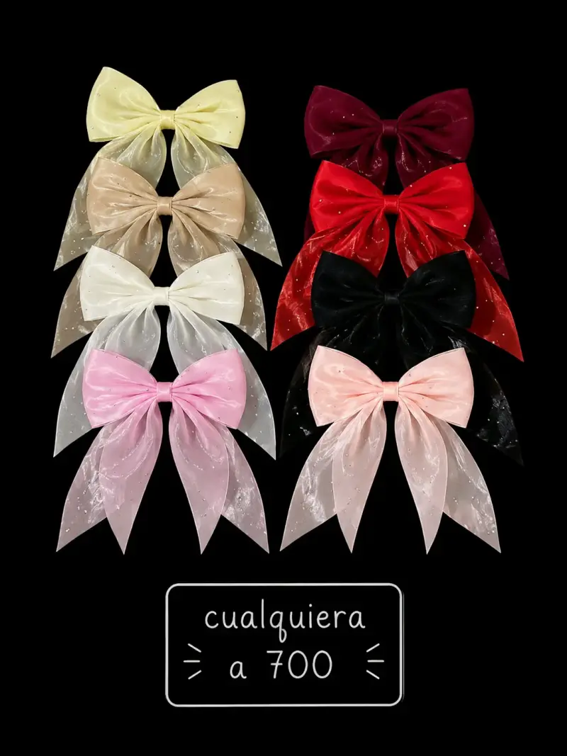 Set de lazos de colores variados - 2