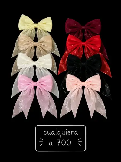 Set de lazos de colores variados - miniatura 2