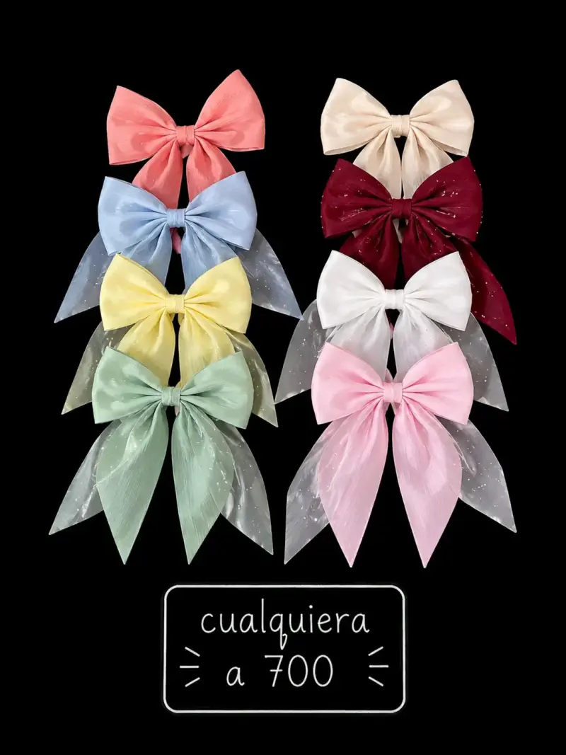Set de lazos de colores variados - 3