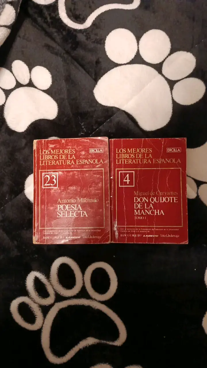Lote de libros clásicos de literatura española