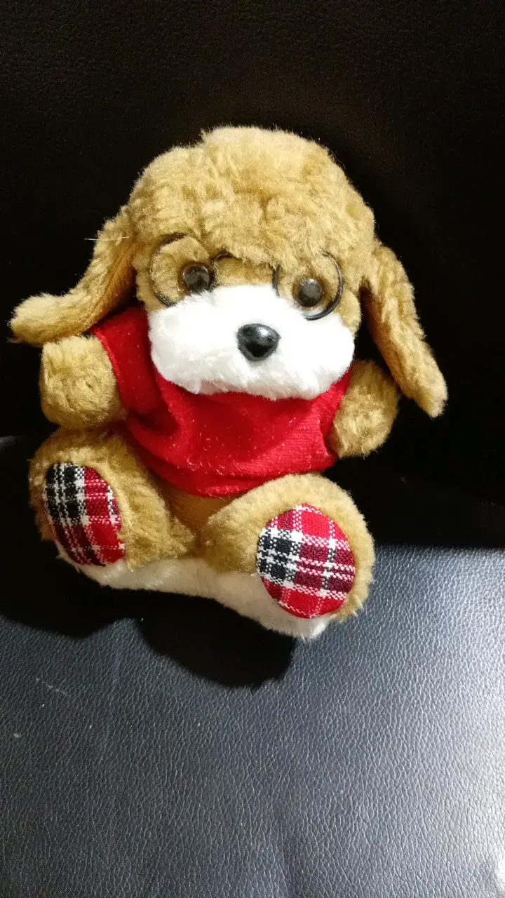 Peluche perro con lentes y polera roja