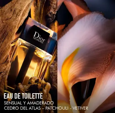 Perfume Dior Homme Edt 100Ml Original, sin celofán - miniatura 5