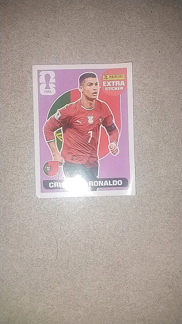 Lámina Panini FIFA Extra Sticker
