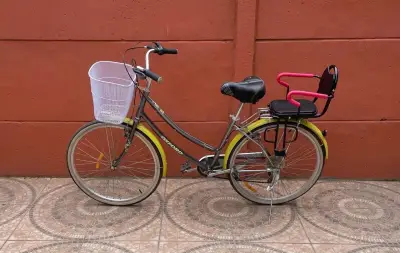 Bicicleta Oxford con asiento infantil y canasto - miniatura 1