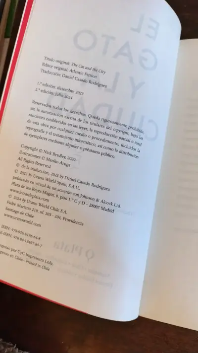 Libro 'El Gato y la Ciudad' de Nick Bradley - miniatura 3