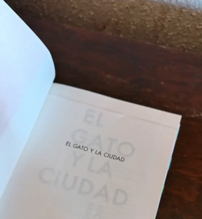 Libro 'El Gato y la Ciudad' de Nick Bradley - 4