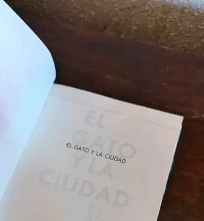 Libro 'El Gato y la Ciudad' de Nick Bradley - miniatura 4