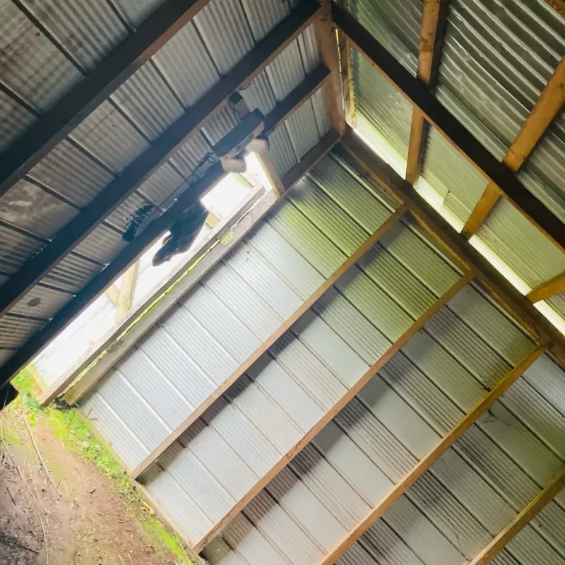 Bodega para leña - 4