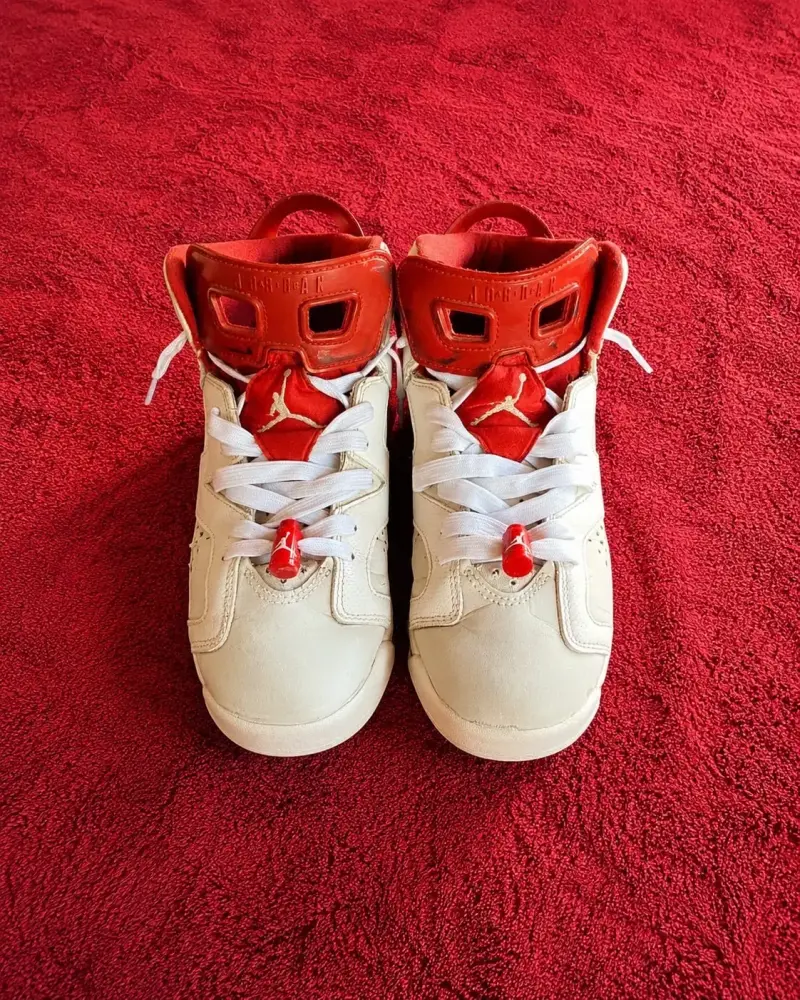 Jordan 6 Alternate - 1