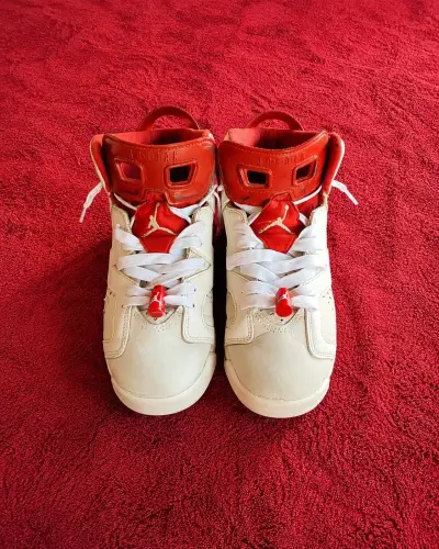 Jordan 6 Alternate - miniatura 1