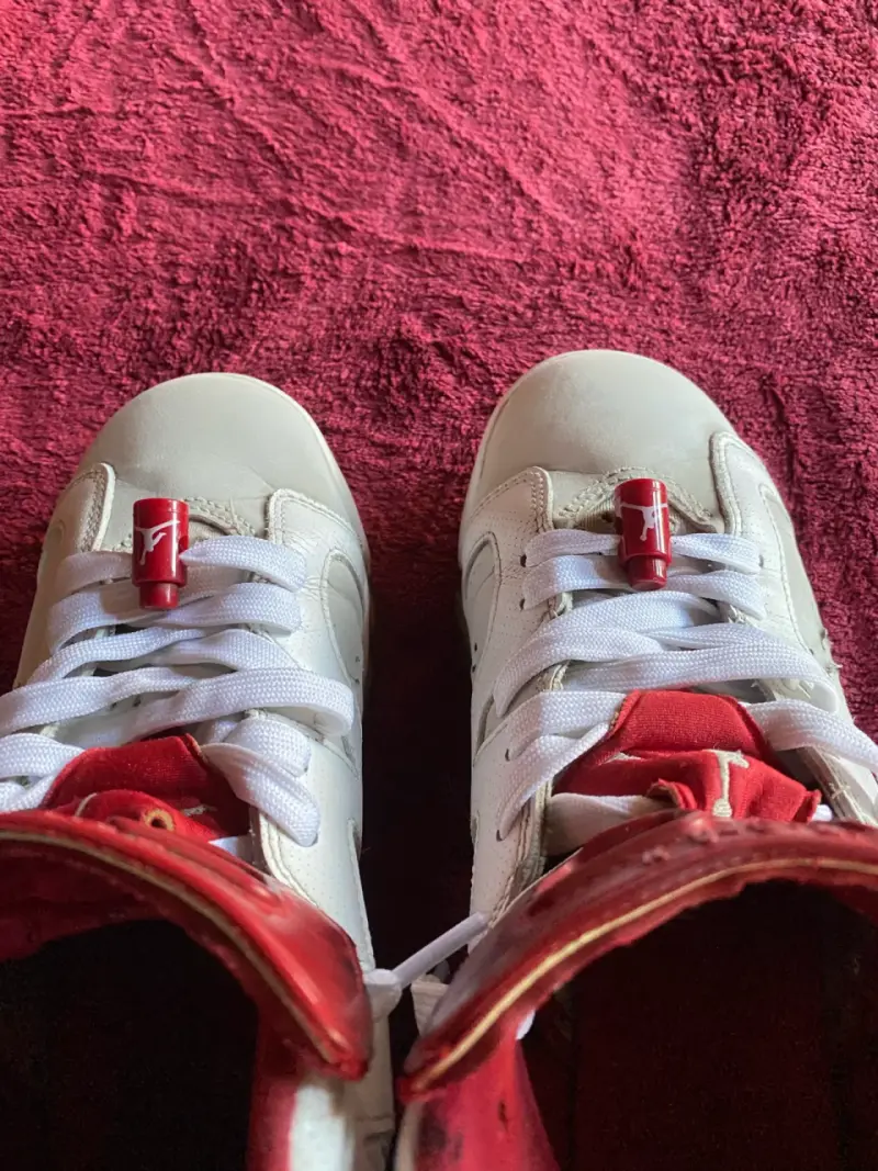 Jordan 6 Alternate - 2