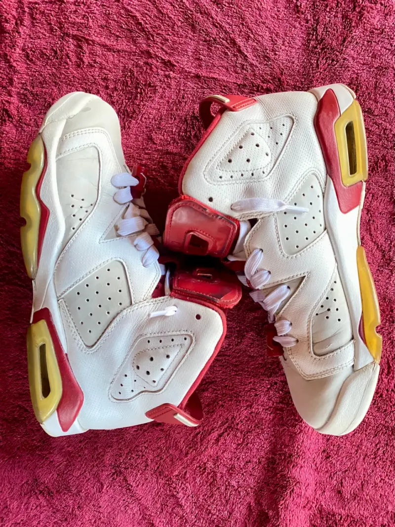 Jordan 6 Alternate - 3
