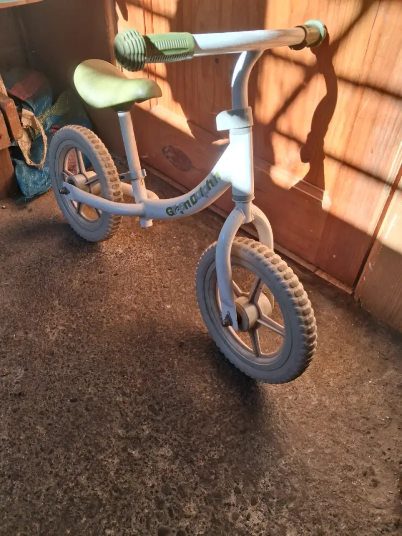 Bicicleta sin pedales GranDolphin para niños - 2
